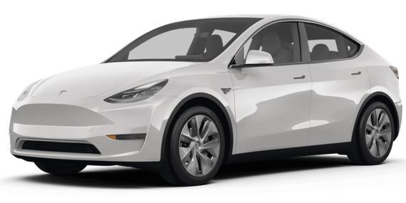 TESLA MODEL Y 2024 7SAYGDEE1RF128579 image
